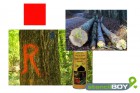 Bau- und Forstmarkierungsspray- leuchtrot DUPLI-COLOR