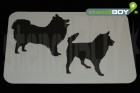 Japan Spitz und KAI-Hund