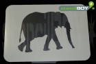 erwachsener Elefant