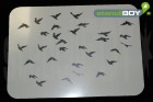 Vogelschwarm 1 - Schablone